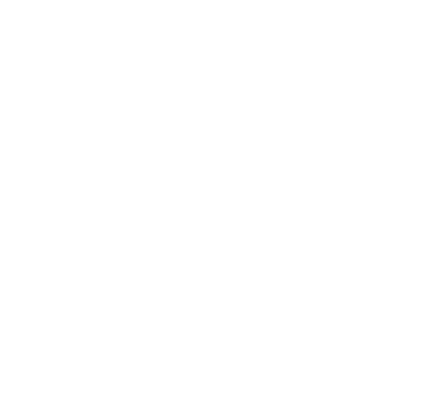 Logo Lions International