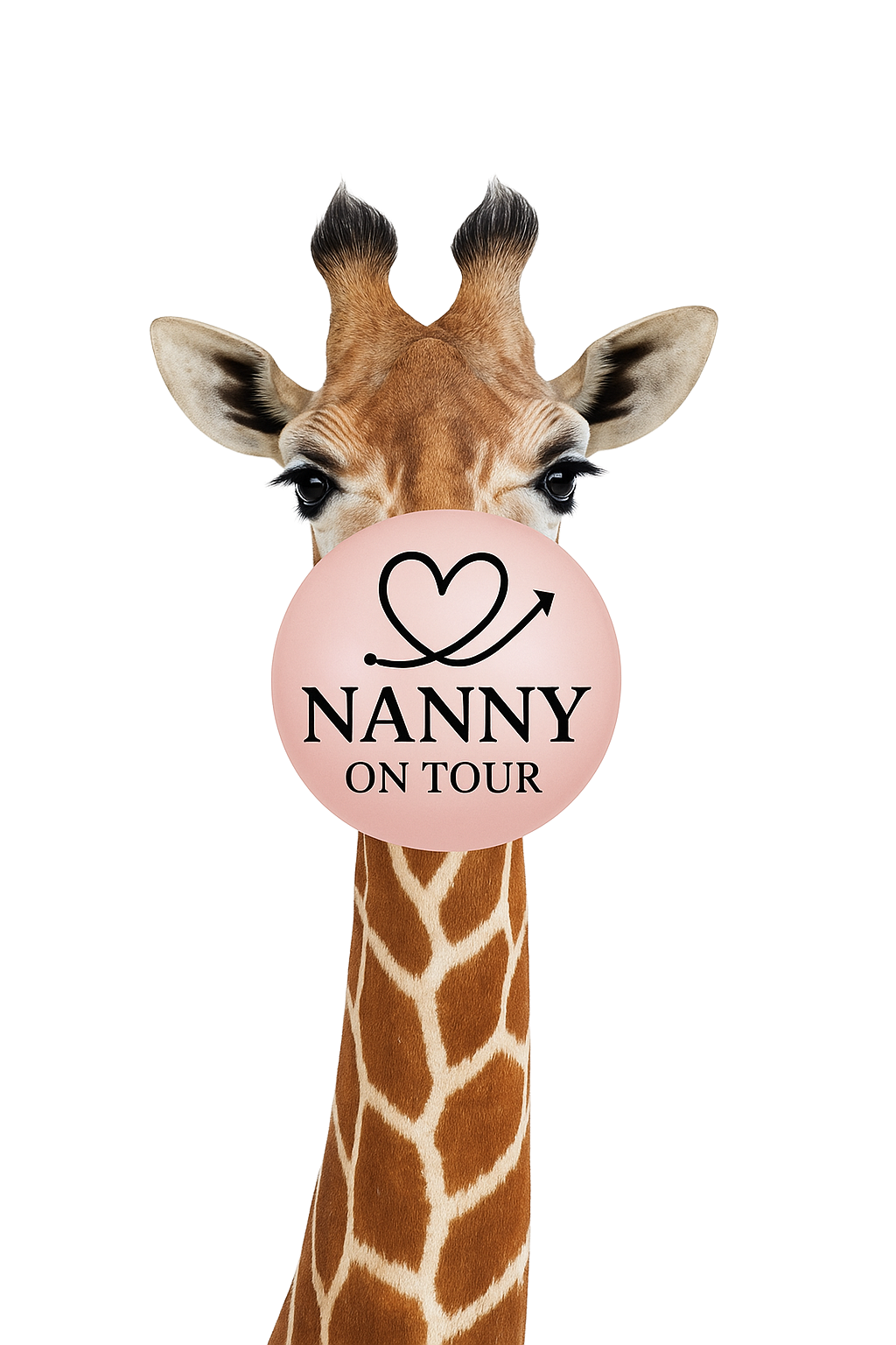 Logo NANNY ON TOUR