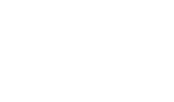 Logo DREAMTEAM